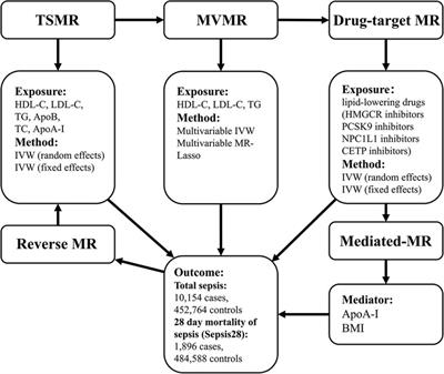 Genetic association of lipids and lipid-lowering drugs with sepsis: a Mendelian randomization and mediation analysis